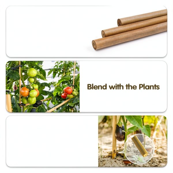 BOVITRO Bamboo Plant Stakes Natural Wood Garden Support-3