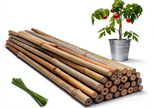 BOVITRO Bamboo Plant Stakes Natural Garden Support Sticks-0