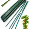 HAINANSTRY Green Bamboo Stakes Plant Support Garden Wood-0