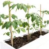 BOVITRO Bamboo Plant Stakes Natural Garden Support Sticks-1