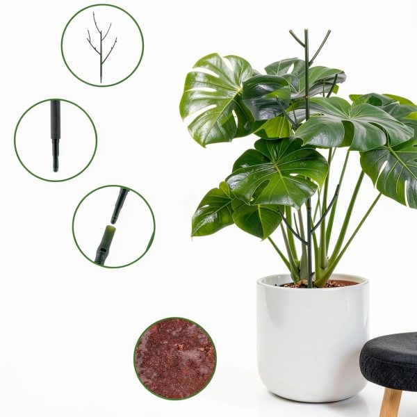 PERSZEN Plastic Plant Stakes Dark Green Garden Support-4