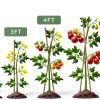 BOVITRO Bamboo Plant Stakes Natural Wood Garden Support-2