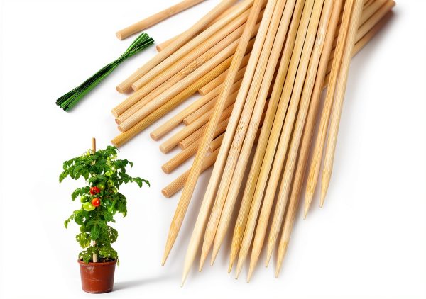 Bamboo Plant Stakes HAINANSTRY Natural Support Garden Stakes-0