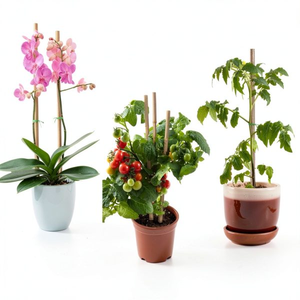 BOVITRO Bamboo Plant Stakes Natural Garden Support Sticks-4