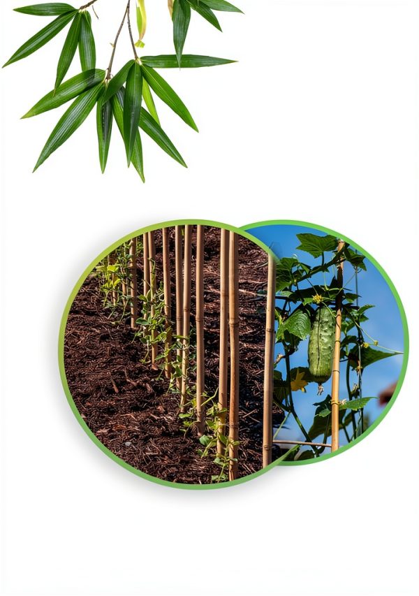 BOVITRO Bamboo Plant Stakes Natural Wood Garden Support-1