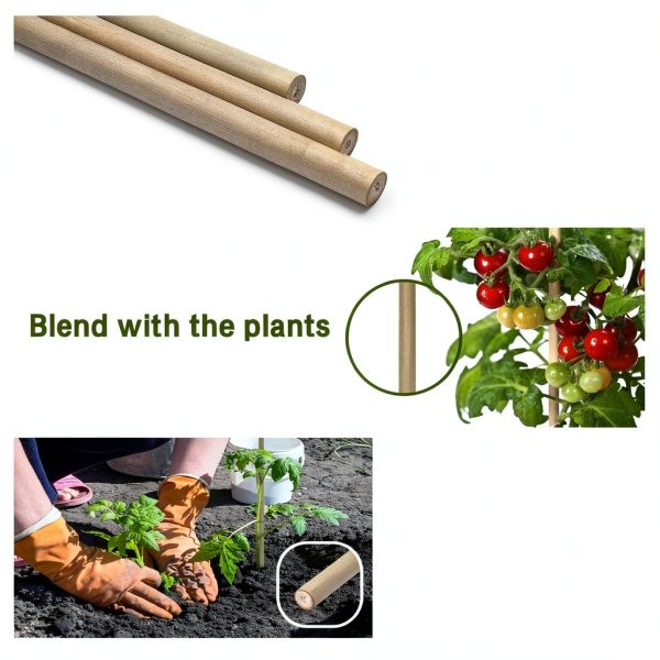 BOVITRO Bamboo Plant Stakes Natural Garden Support Sticks-3
